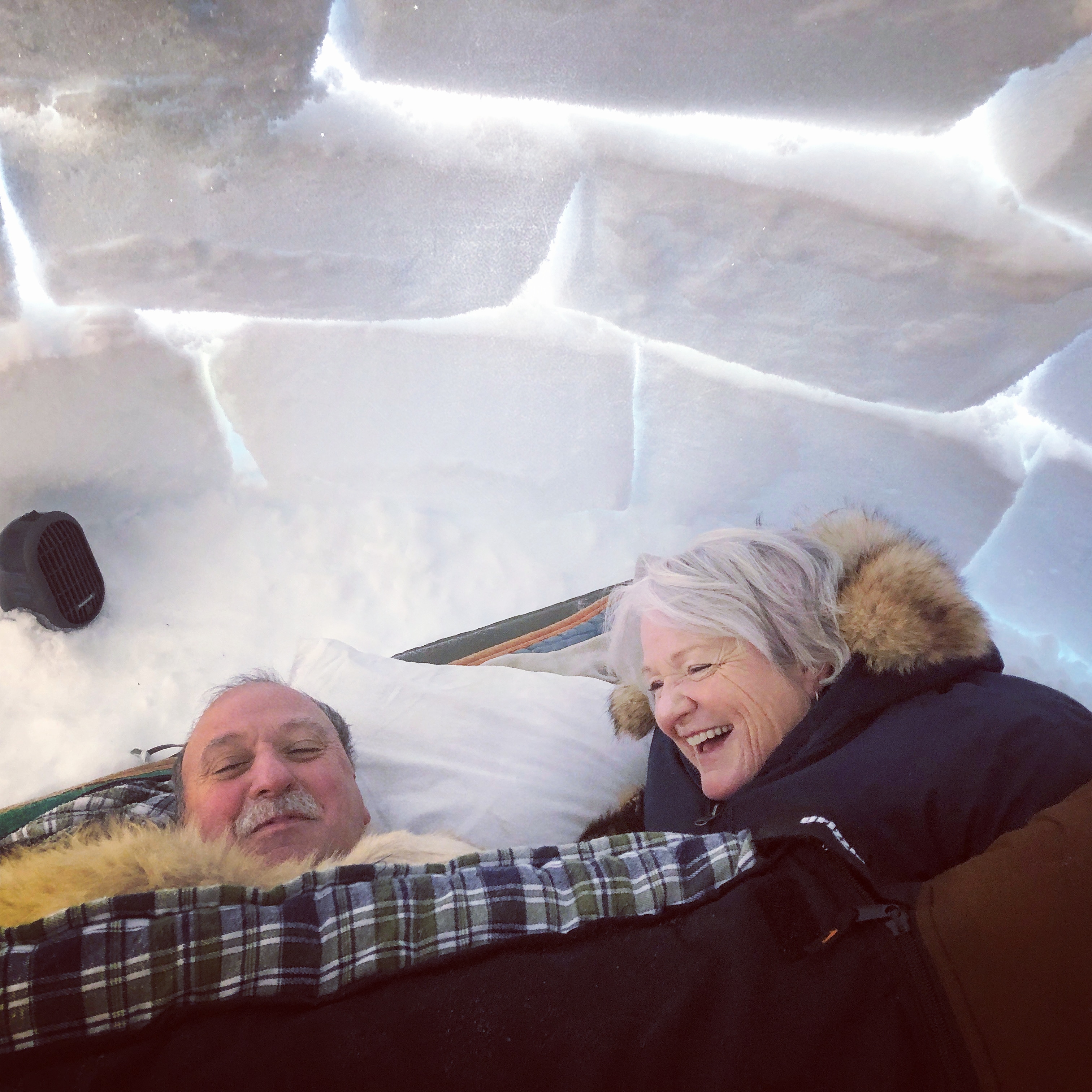 Amazing Things to Do in the Arctic
