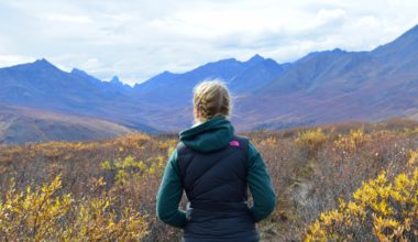 The Dempster Highway offers sweeping views of the landscape of the NorthWest Territorries
